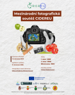 Mezinárodní fotografická soutěž